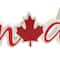 17" Canada Die-Cut Tabletop Décor by Celebrate It™